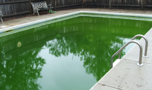 How Pool Installation Affects Your Backyard Layoutt
